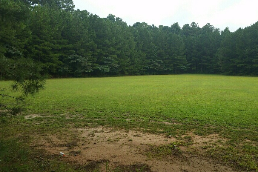 Field #2