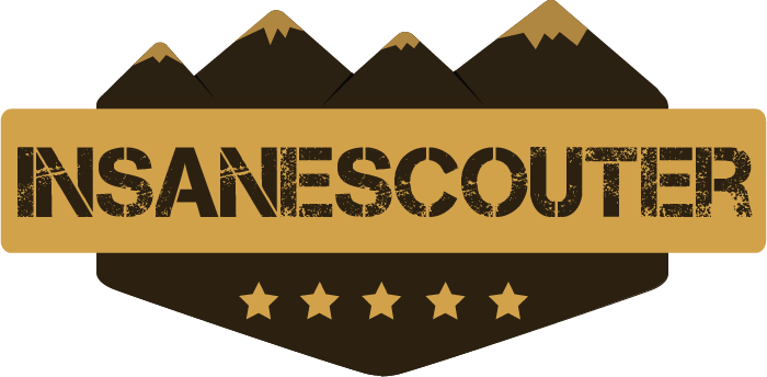 InsaneScouter logo