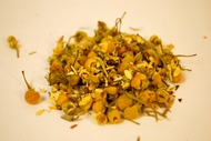 Chamomile Vanilla Bean from Two Guys' Tea