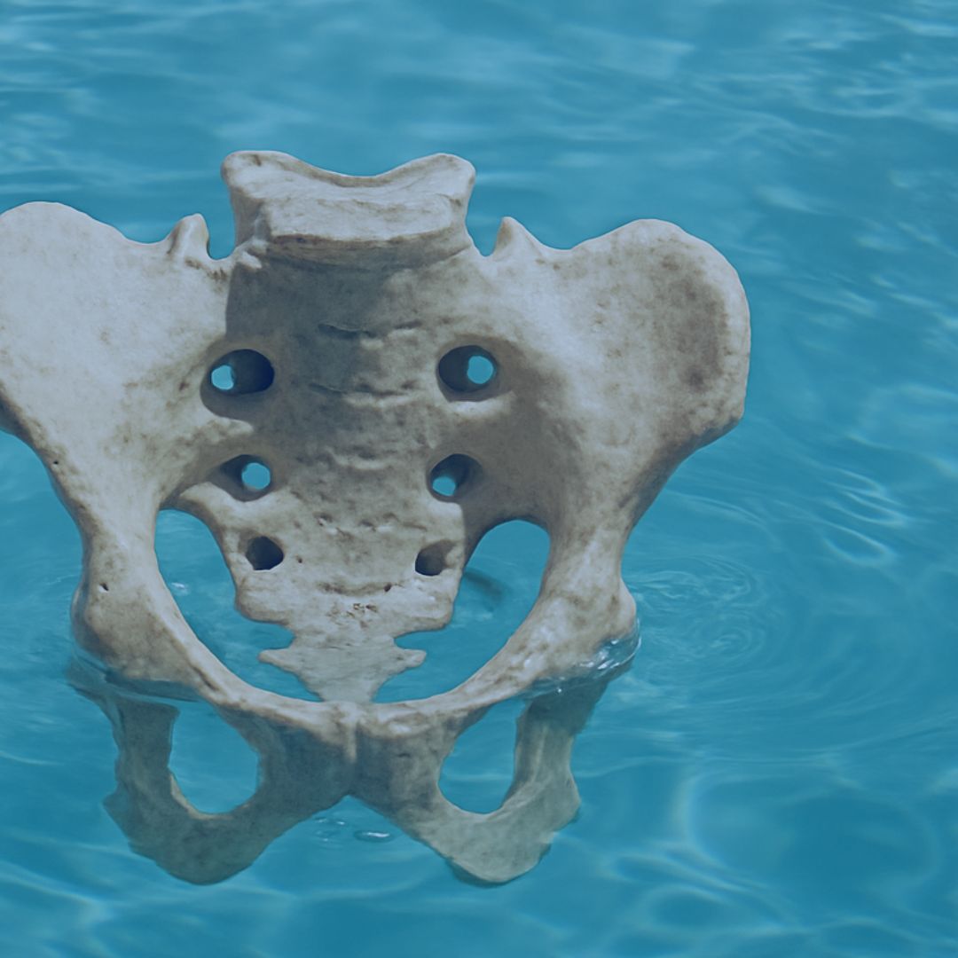 Sacred Sacrum