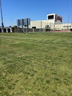 Field - Small - No Lights