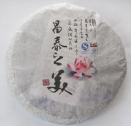 2008 Changtai's Beauty Organic Green Puerh Tea Cake 400g from PuerhShop.com