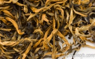 2012 Imperial Yunnan Fengqing Golden Buds from JK Tea Shop Online