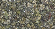 Green Snail from Shanti Tea