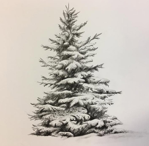 fir tree