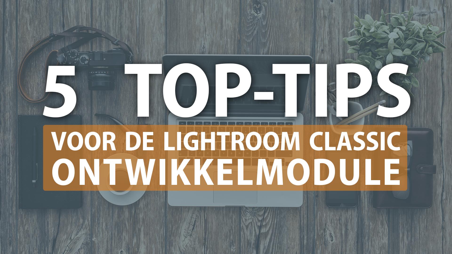 Product image for 5 Top Tips voor Lightroom Classic's Ontwikkelmodule