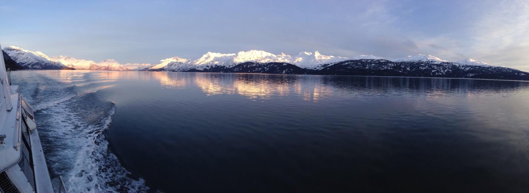 Glacier & Wildlife Boat Charters in Prince William Sound - Anchorage