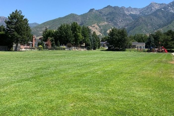 Fields