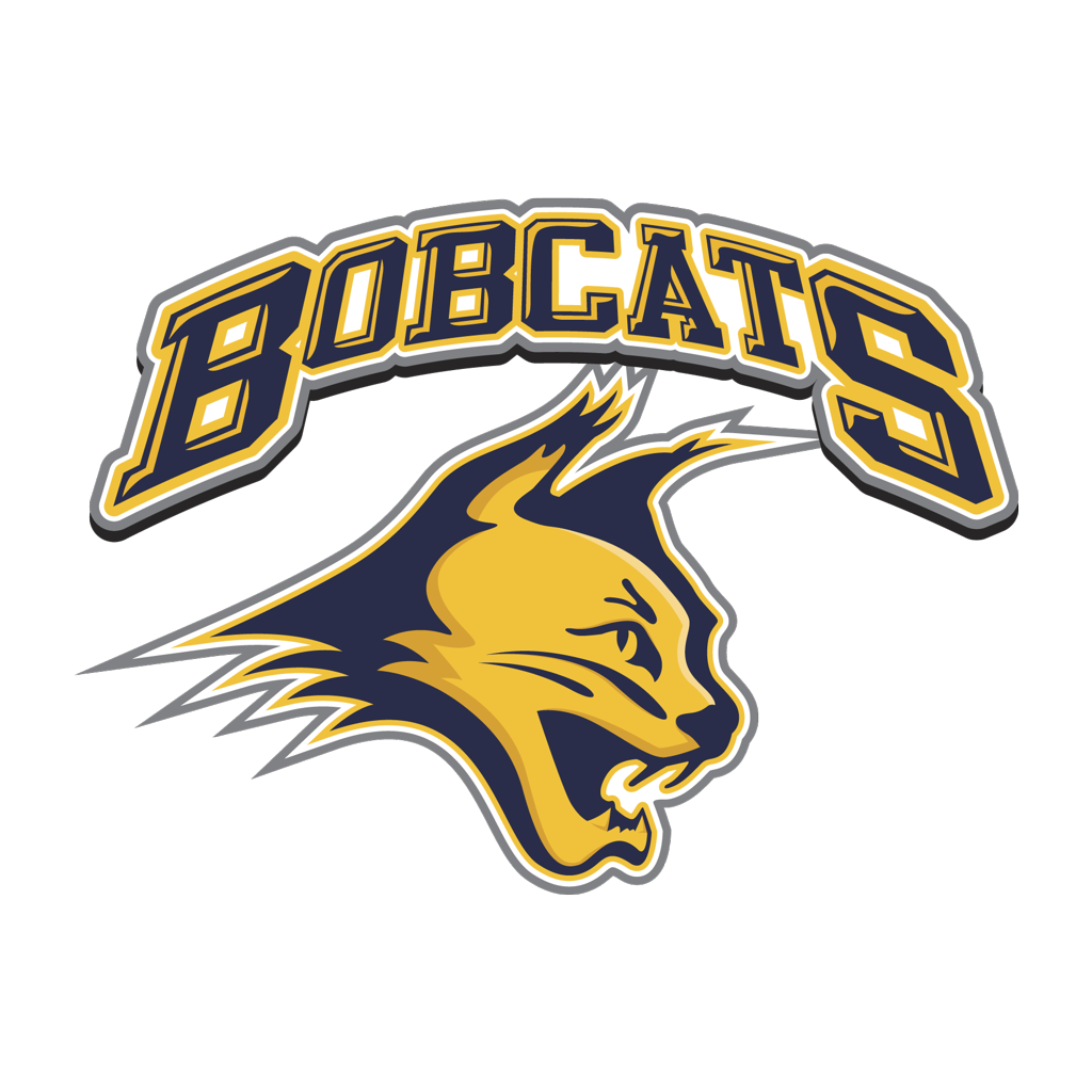2010 Bobcats logo
