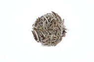 Silver Needle White Tea By Golden tips Teas from Golden Tips Teas