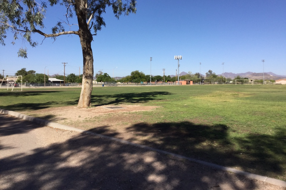 The Field