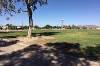 The Field