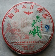 2009 Lao Man'e Green Pu-erh Tea Cake from PuerhShop.com