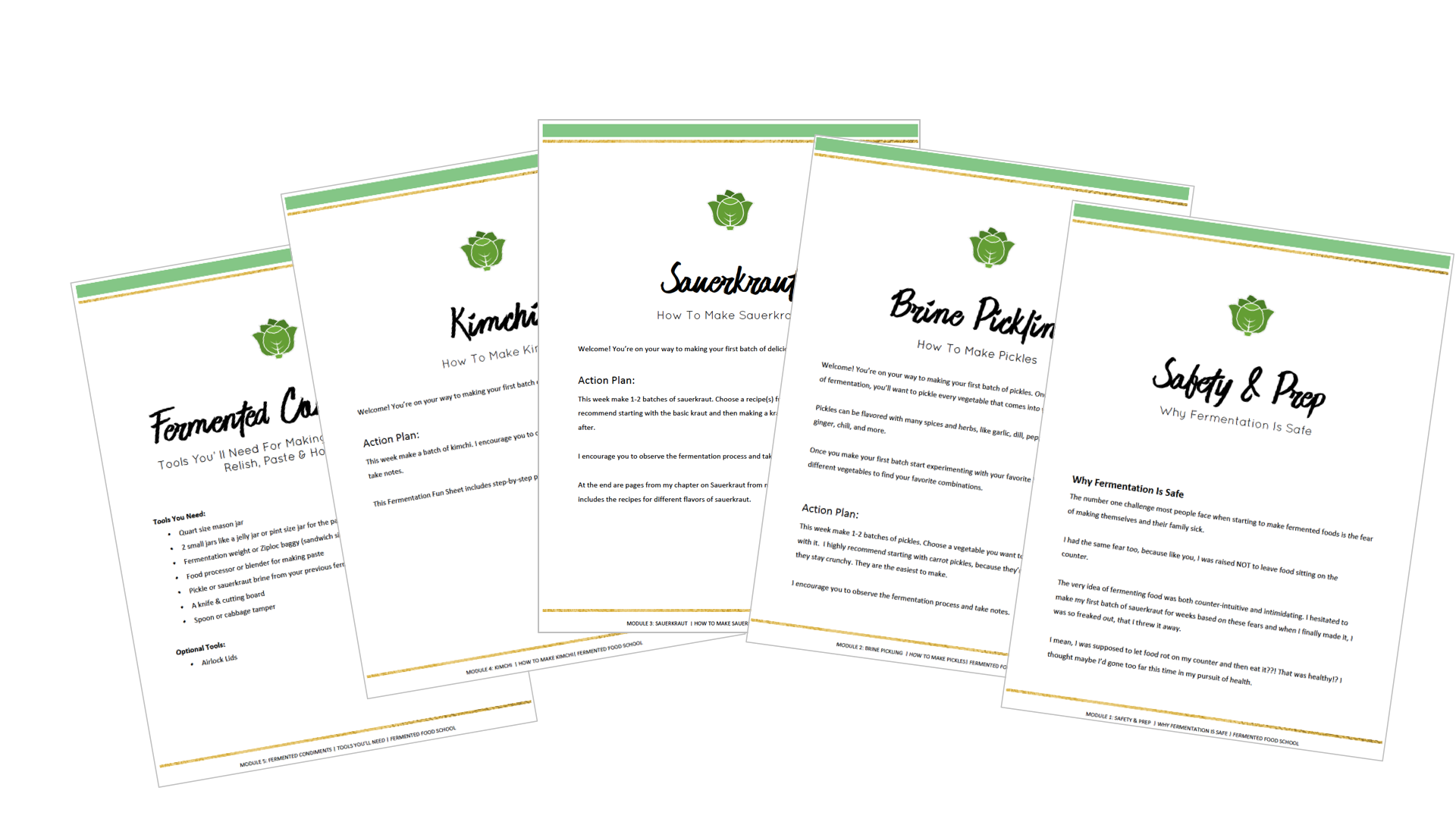 Fermenting Veggies | Fermented Food School