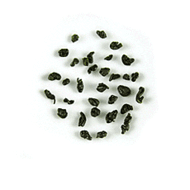 Gunpowder Imperial Pinhead Spring 2009 organic from Tea Trekker