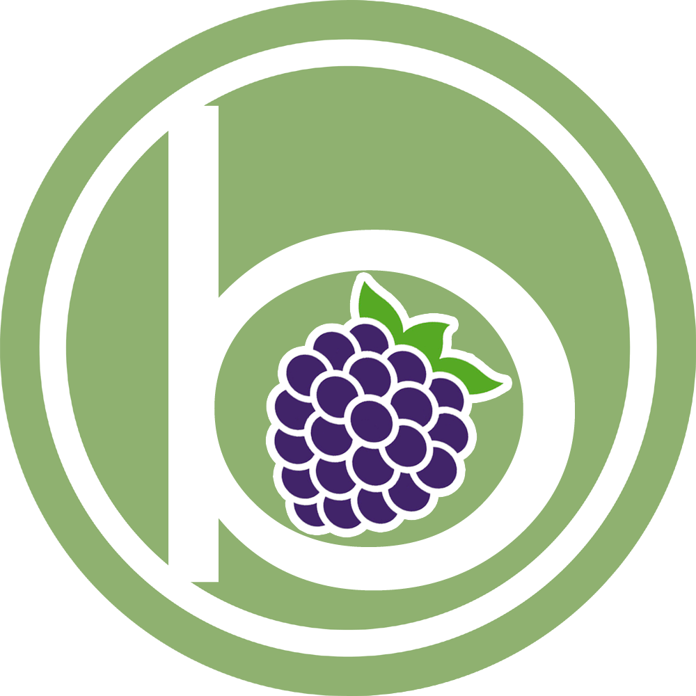 Blackberryradio logo