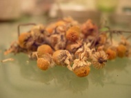Egyptian Chamomile from Art of Tea