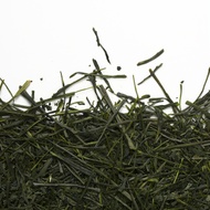 Sencha Koshun Organic from Camellia Sinensis