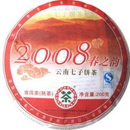 2008 cnnp small cake from CNNP
