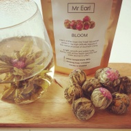 Bloom from Mr Earl