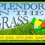 Splendor In The Grass from Adagio Custom Blends