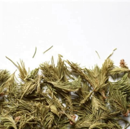 Sapin Baumier (Balsam Fir) from Floèm (formerly PilKi)
