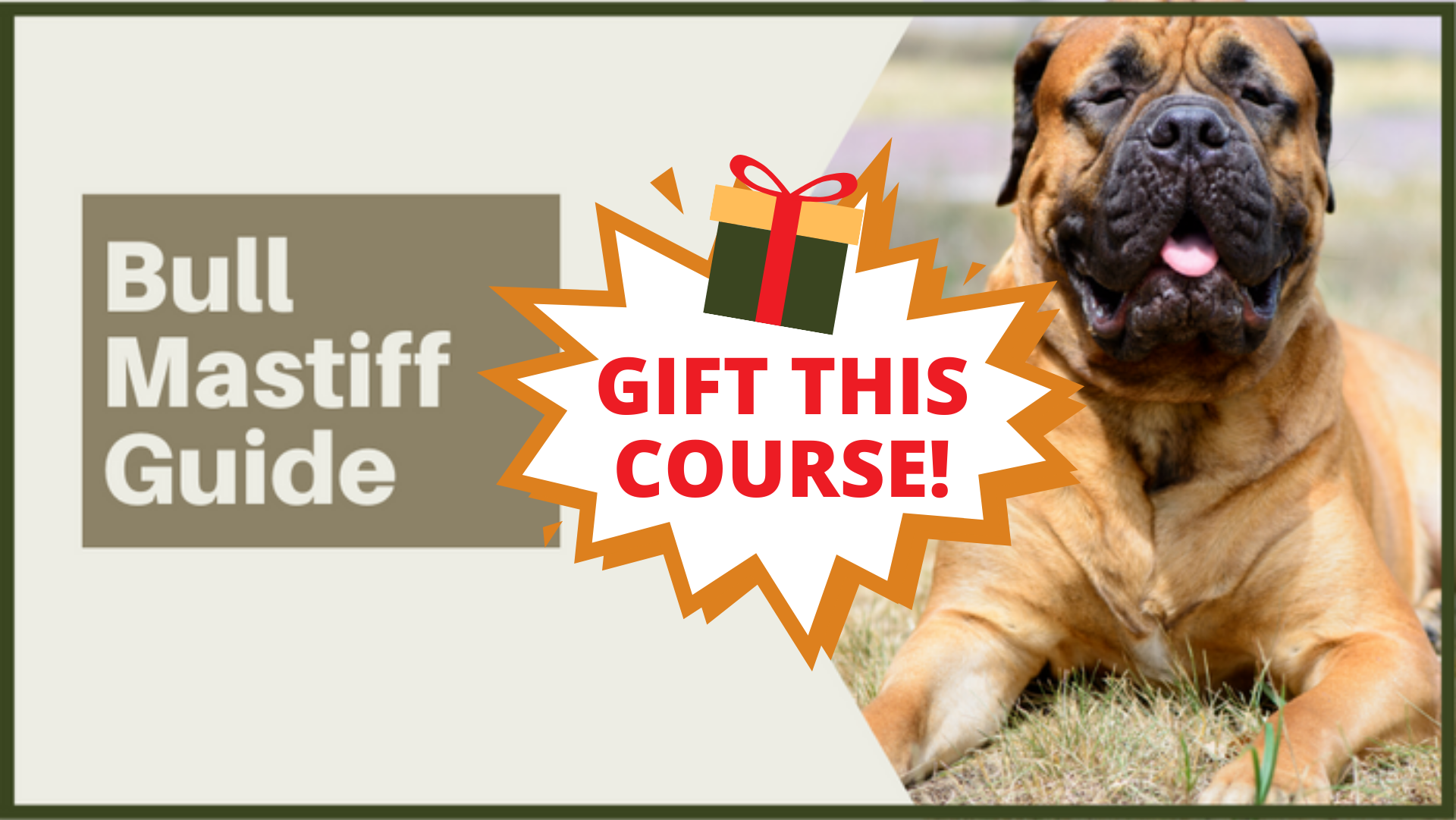 GIFT THIS COURSE - ULTIMATE BULLMASTIFF OWNERS GUIDE | I