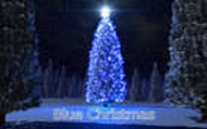 Blue Christmas from Adagio Custom Blends