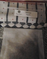 Harvest Apple (sampler) from Bamboo Leaf Tea