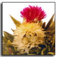 Blossoming Peach Blooming Tea from The Exotic Teapot