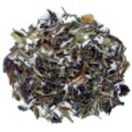 Pai Mu Tan from Ann Arbor TeaHaus