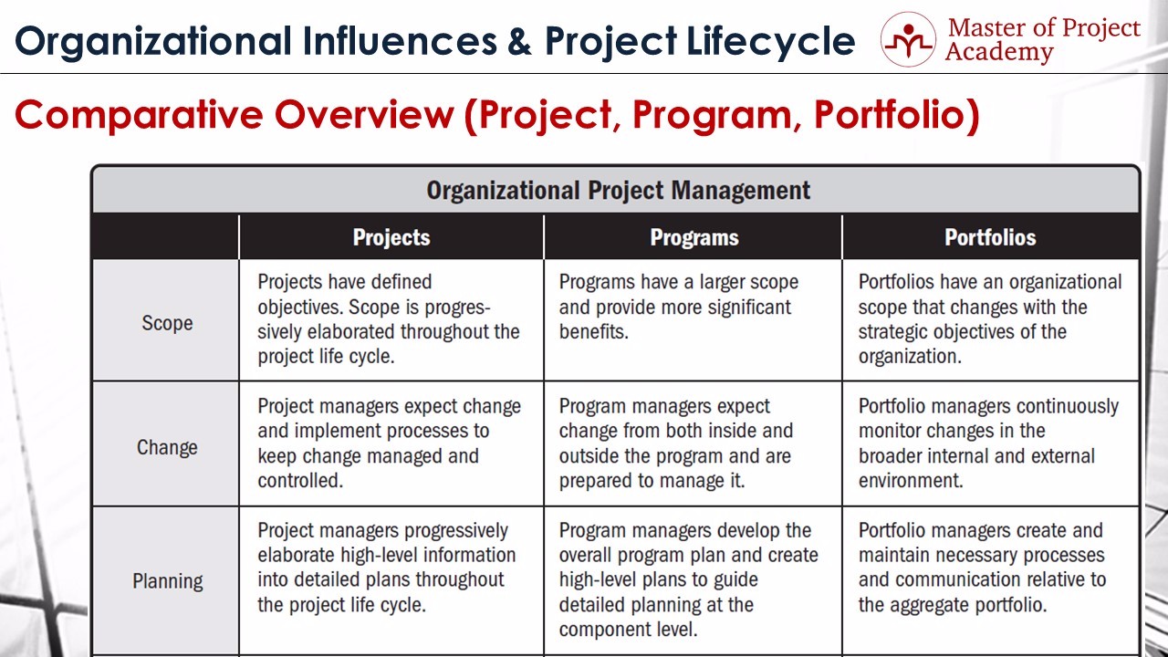 interrelationship of project, program and portfolio