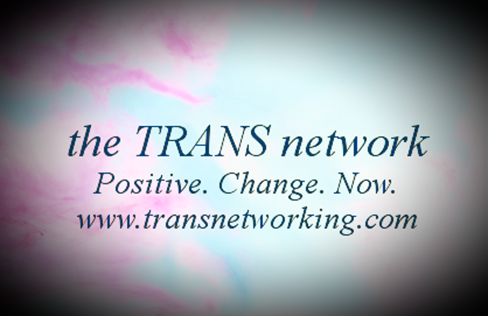 the TRANS network logo