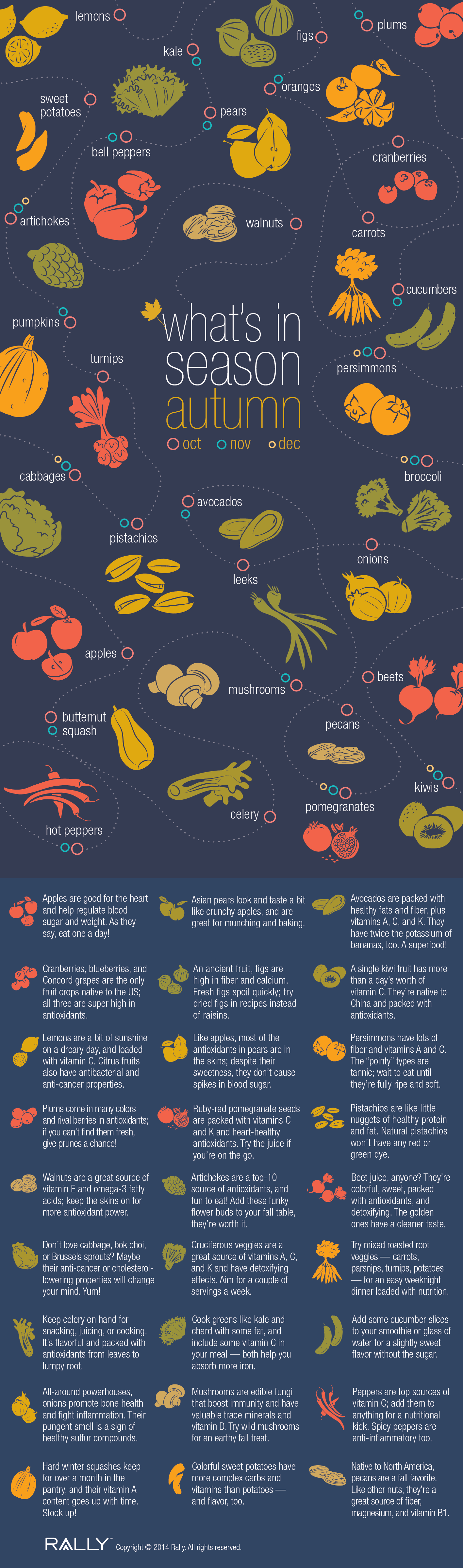 Fall Food Infographic - seasonal produce