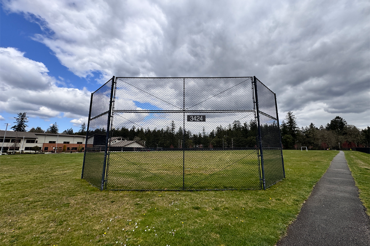 Baseball Field Grass