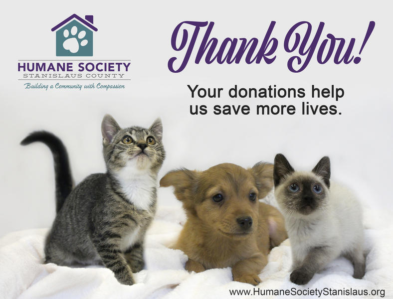 stanislaus humane society