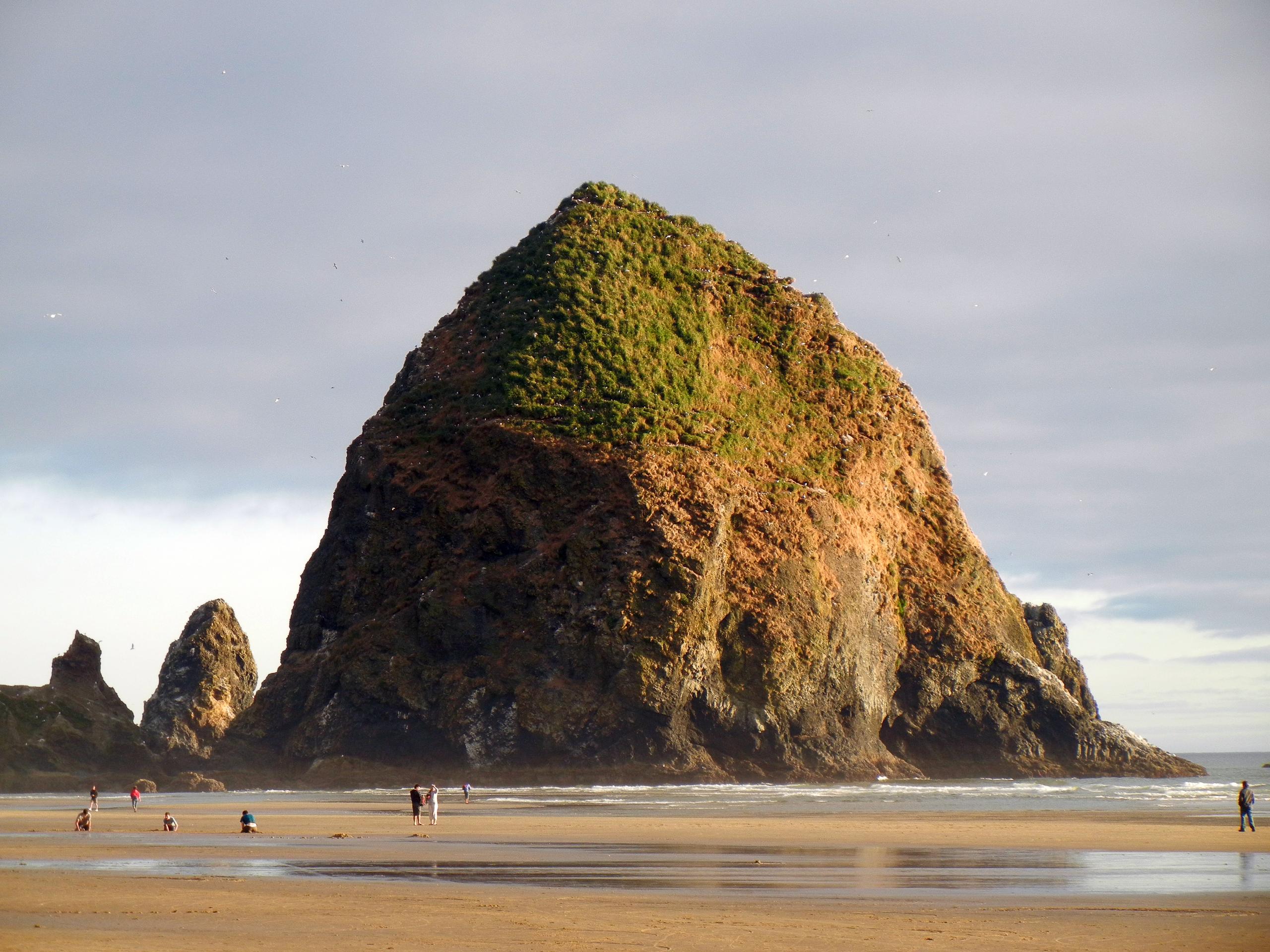 Full Day Oregon Coast Tour photo 3