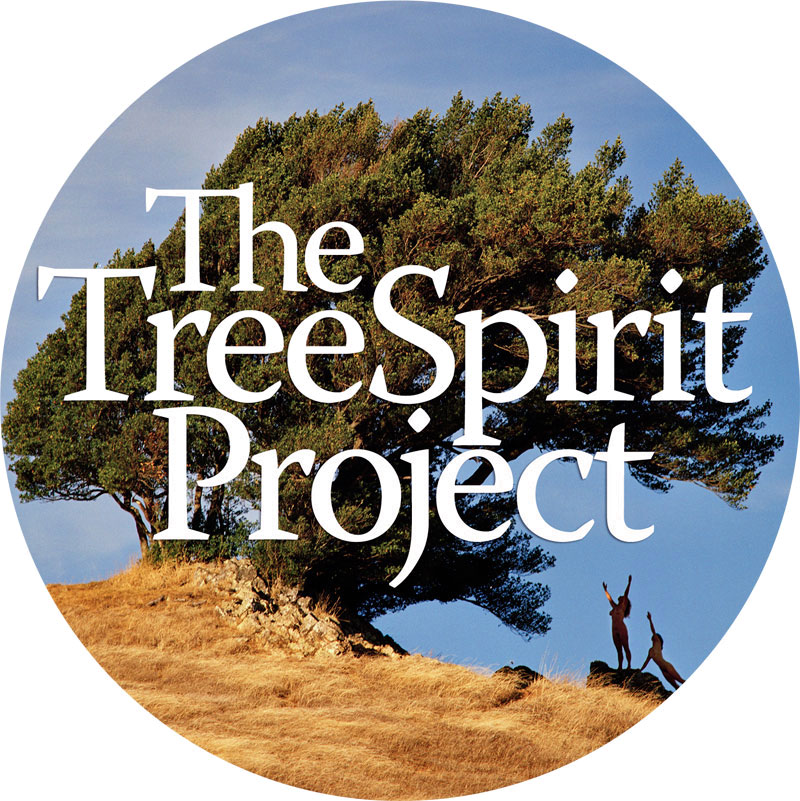 The TreeSpirit Project logo