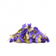 Dried Myosotis Sylvatica Flower Herbal Tea from Teavivre