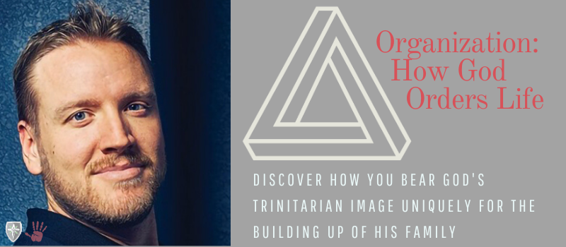 Product image for Organization | The Unique Trinity & the Unique You