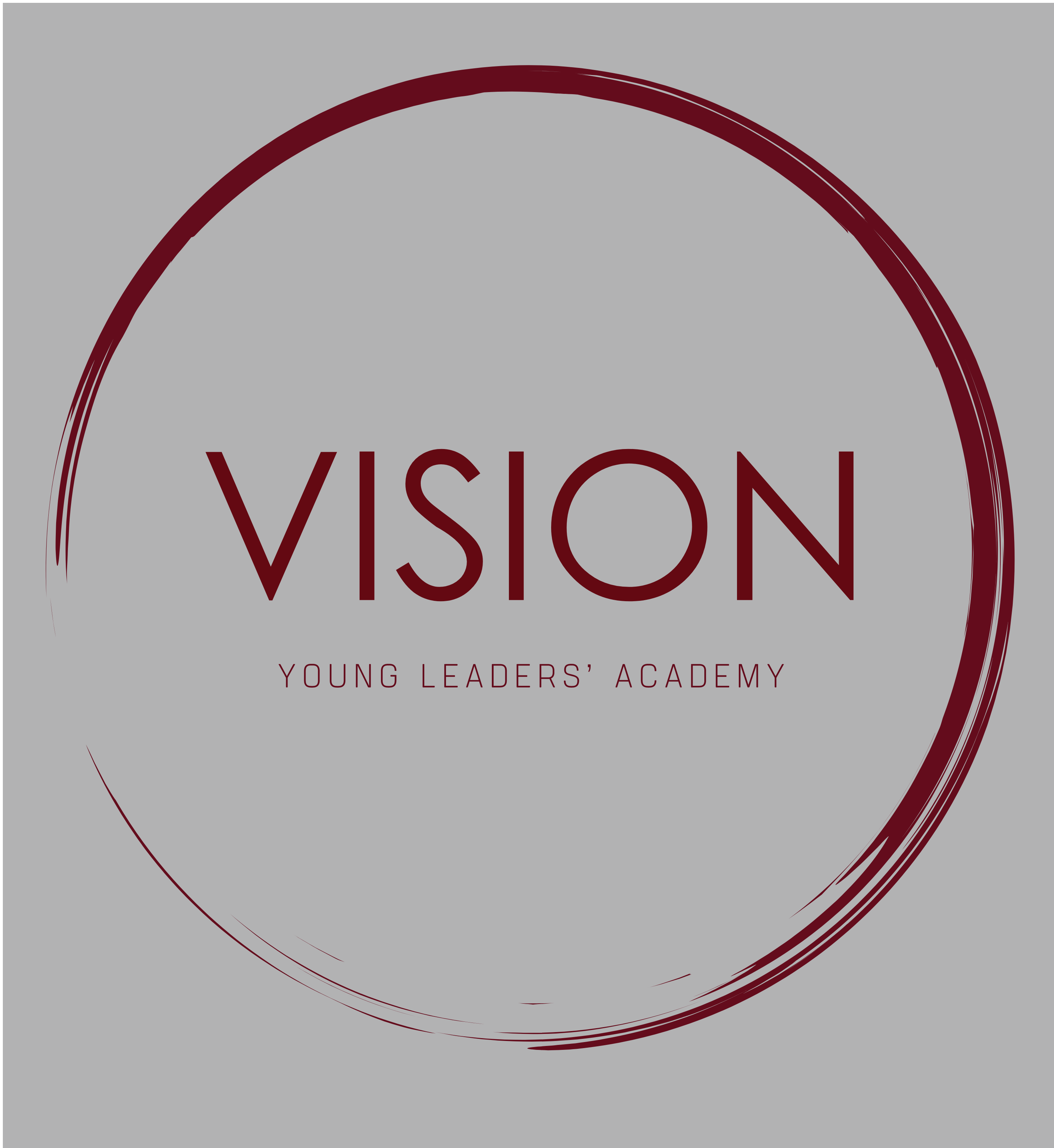 Vision Young Leaders’ Academy logo