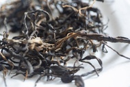 Plum Beauty Black 2025 Mengsong Organic Black Tea from Bitterleaf Teas