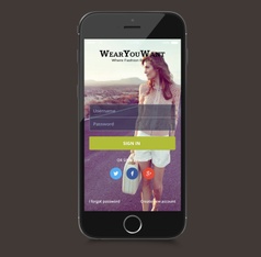 portfolio