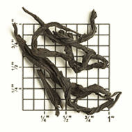Special Edition Bohea Select from Upton Tea Imports