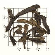 TT10: Formosa Oolong Standard Grade from Upton Tea Imports