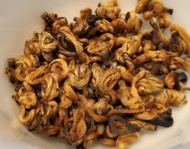 Jin Luo (Golden Snail) from Grand Yunnan Tea