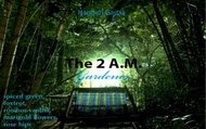 The 2 A.M. Gardener from Adagio Custom Blends