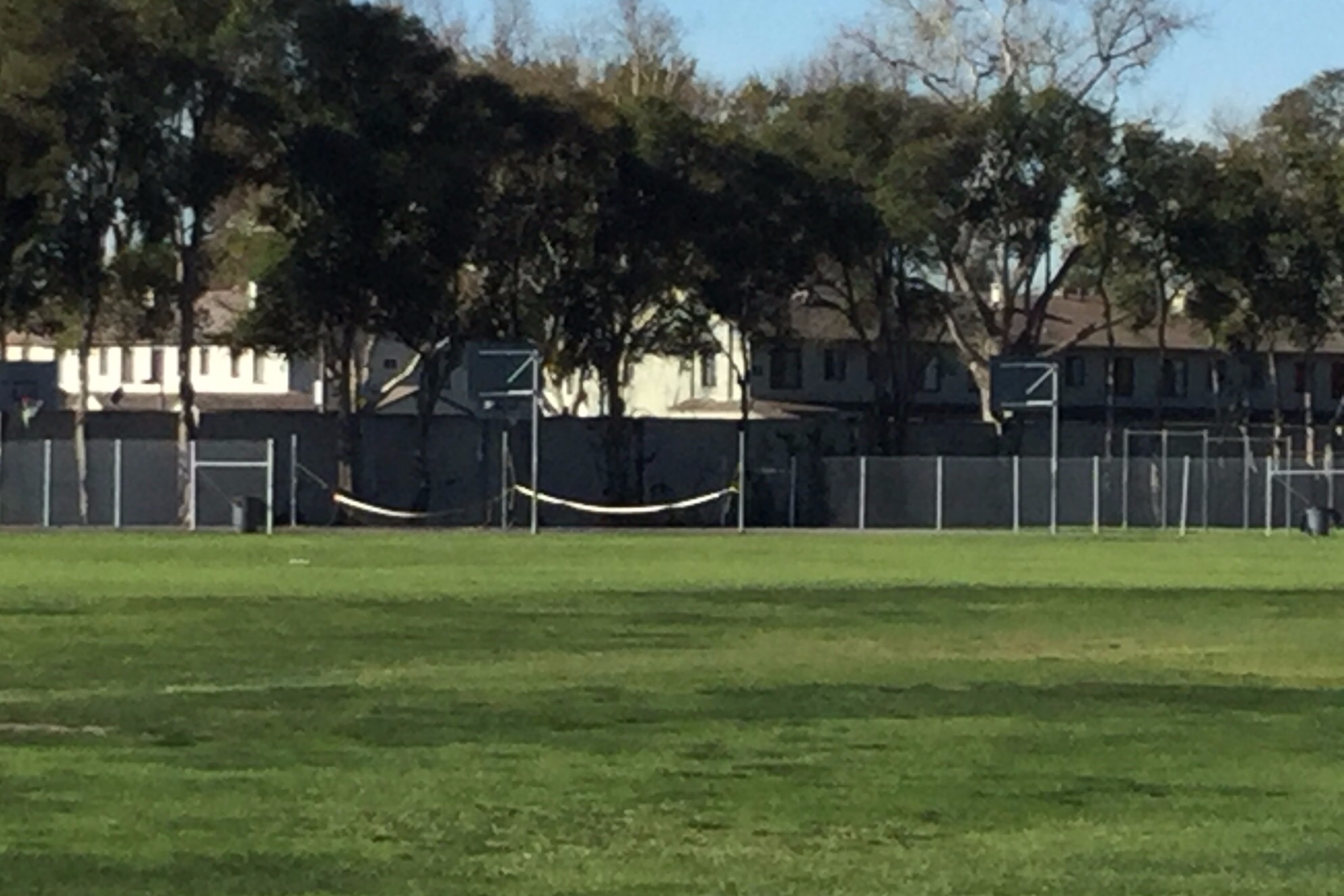 Field