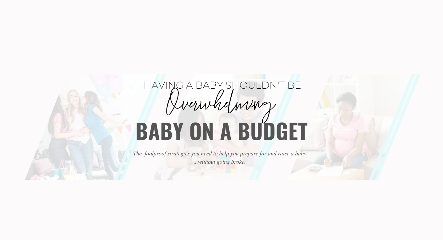 Baby on a Budget sales page