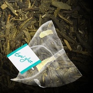 Lemongrass & Ginger from The Toni Glass Collection